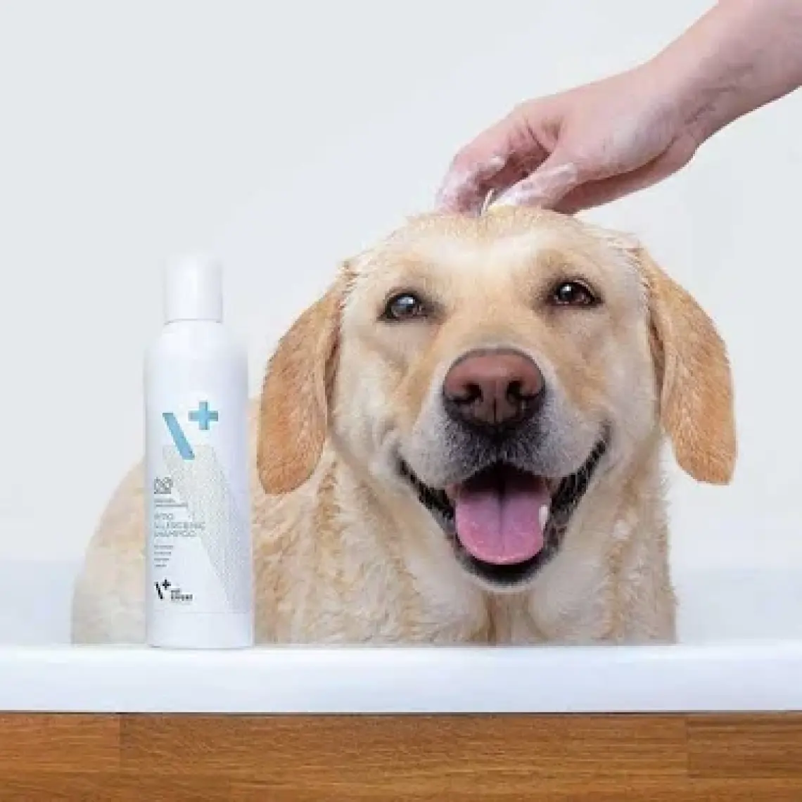 Vet Expert Hipoalerjenik Şampuan 250 ml