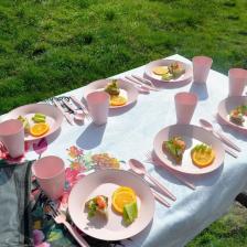 Eko Piknik Seti 32 Parça - Pembe