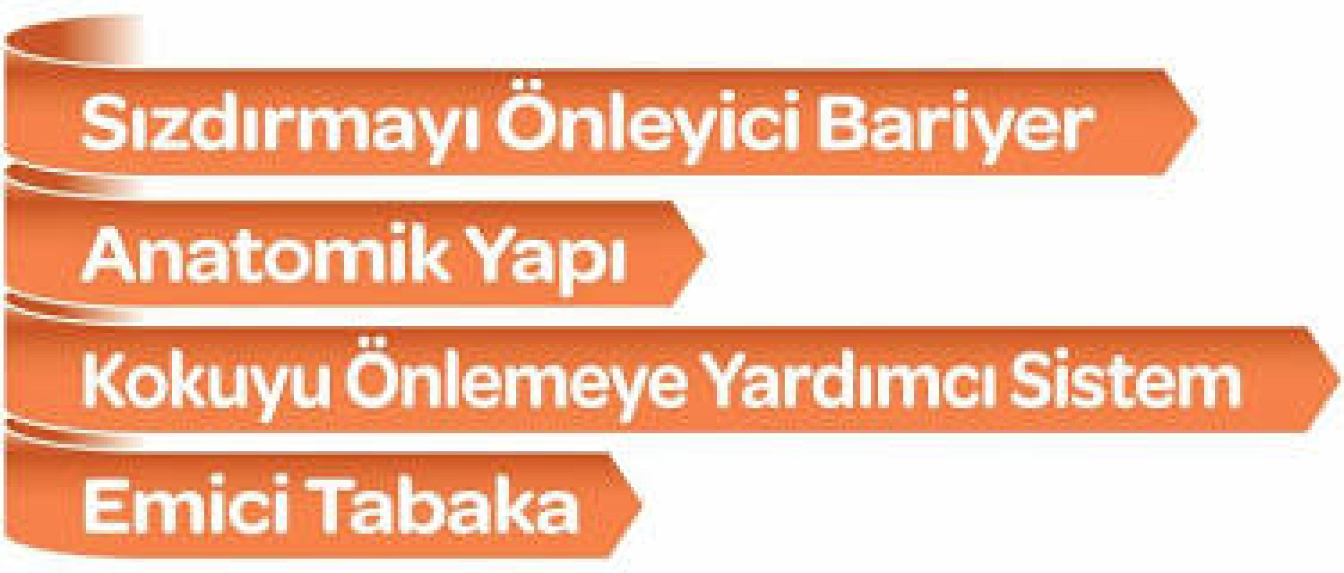 Önlem Emici külotlu Hasta Bezi Large ( Büyük Boy ) 30 Adet
