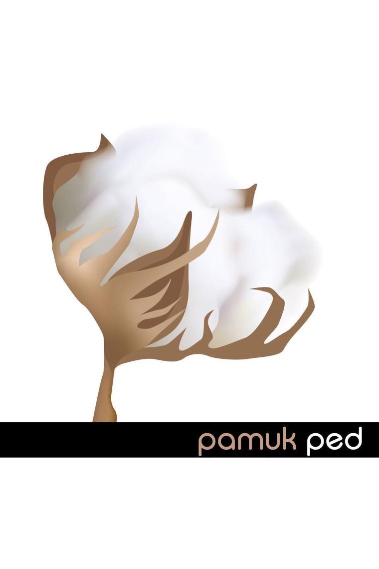 Ladyfit Pamuk Ped Mega Normal 48 Ped