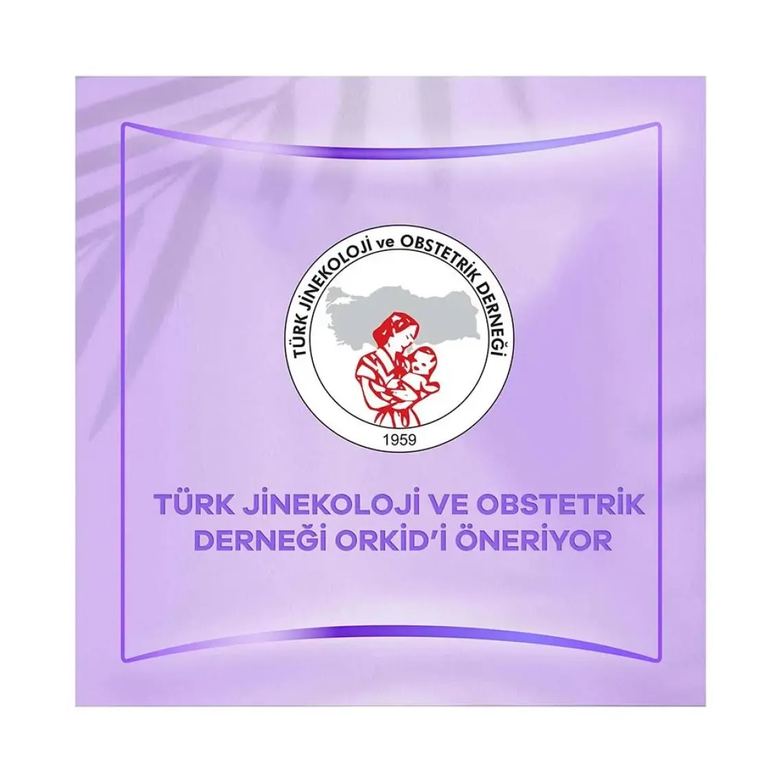Orkid Yaprak Pamuksu Günlük Ped Deo Fresh Dev Ekonomi Paketi 80 Ped