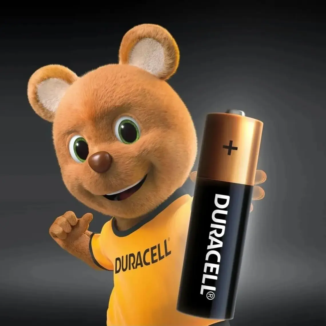 Duracell Alkalin Ince Kalem Pil 6'lı Aaa