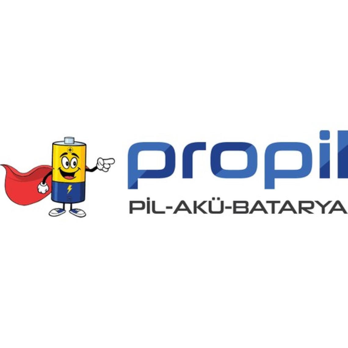 Orion Şarjlı Vidalama Pili 4.8 V 1500 Mah