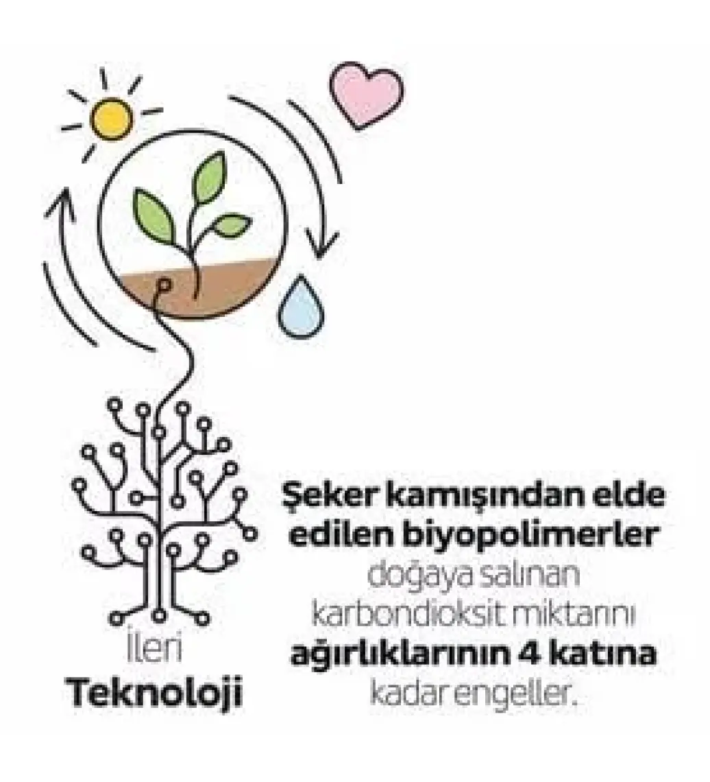 Sleepy Bio Natural Premium Plus Günlük Ped Uzun 32 Adet Ped