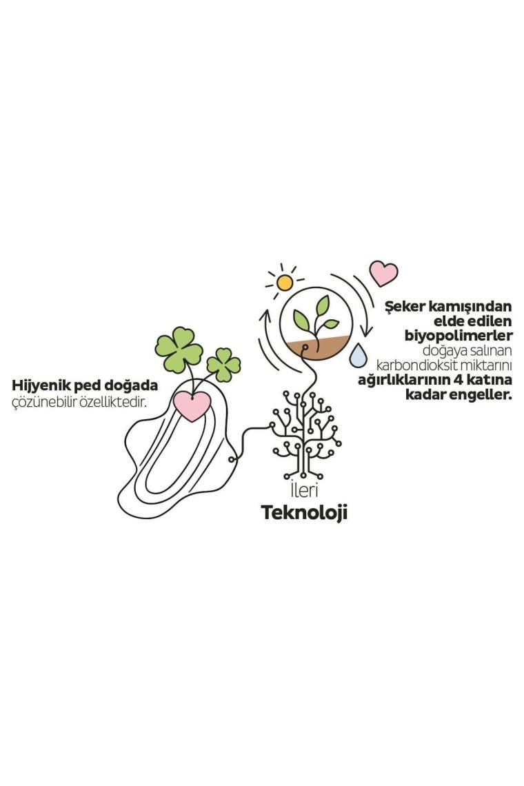 Ecologic premium Plus Günlük Ped Uzun 32 Adet Ped