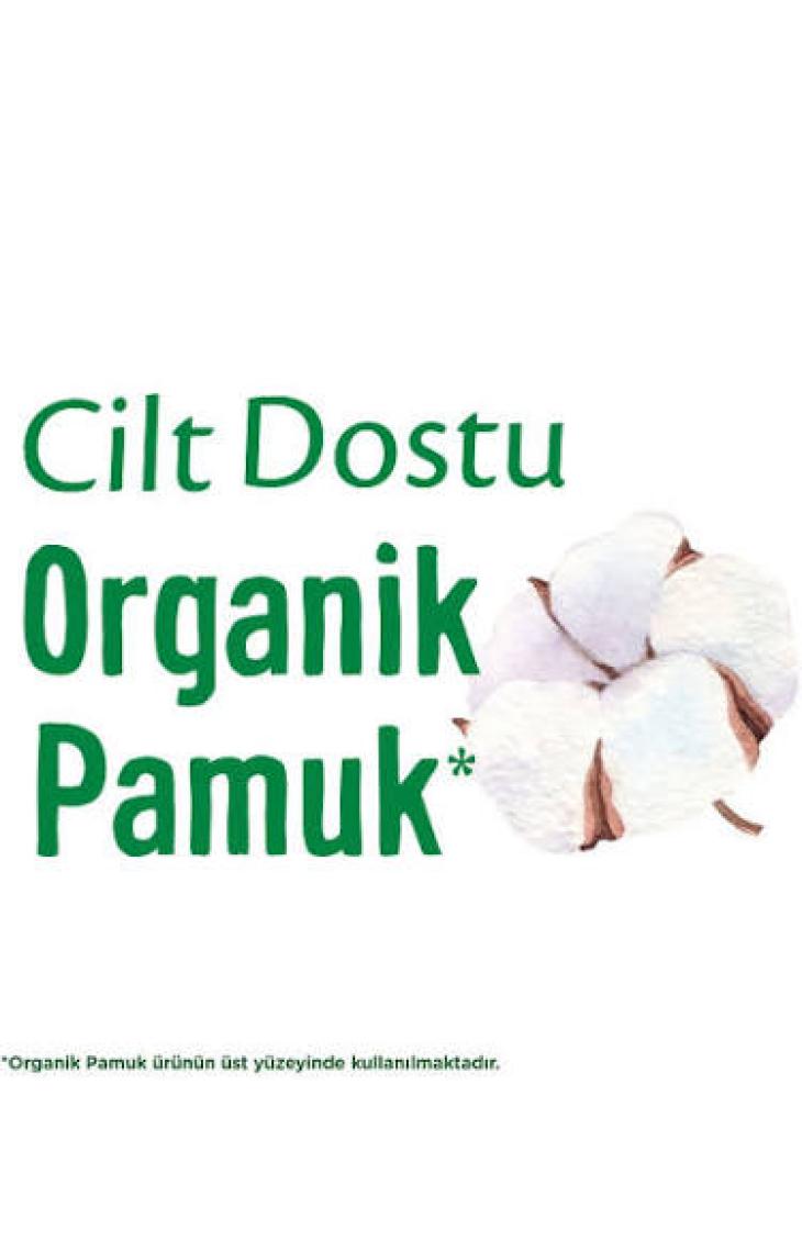 Molped Pure Soft Ince Günlük Ped 32'li