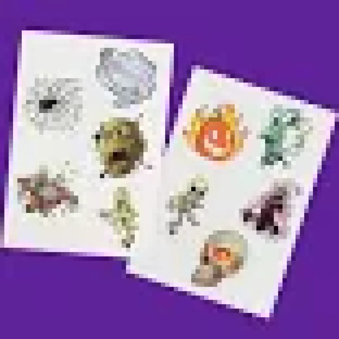 Junoo HoloToyz Tattoo Monster Mash AR Uyumlu Geçici Dövme