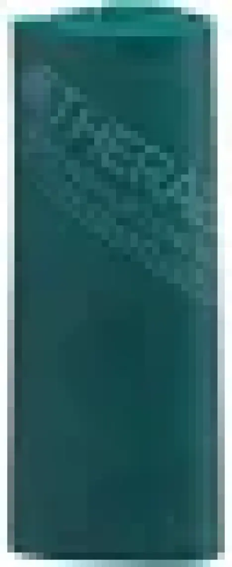 Thera-Band 12194 Çantalı Egzersiz Bandı 2.5 Metre Sert Yeşil