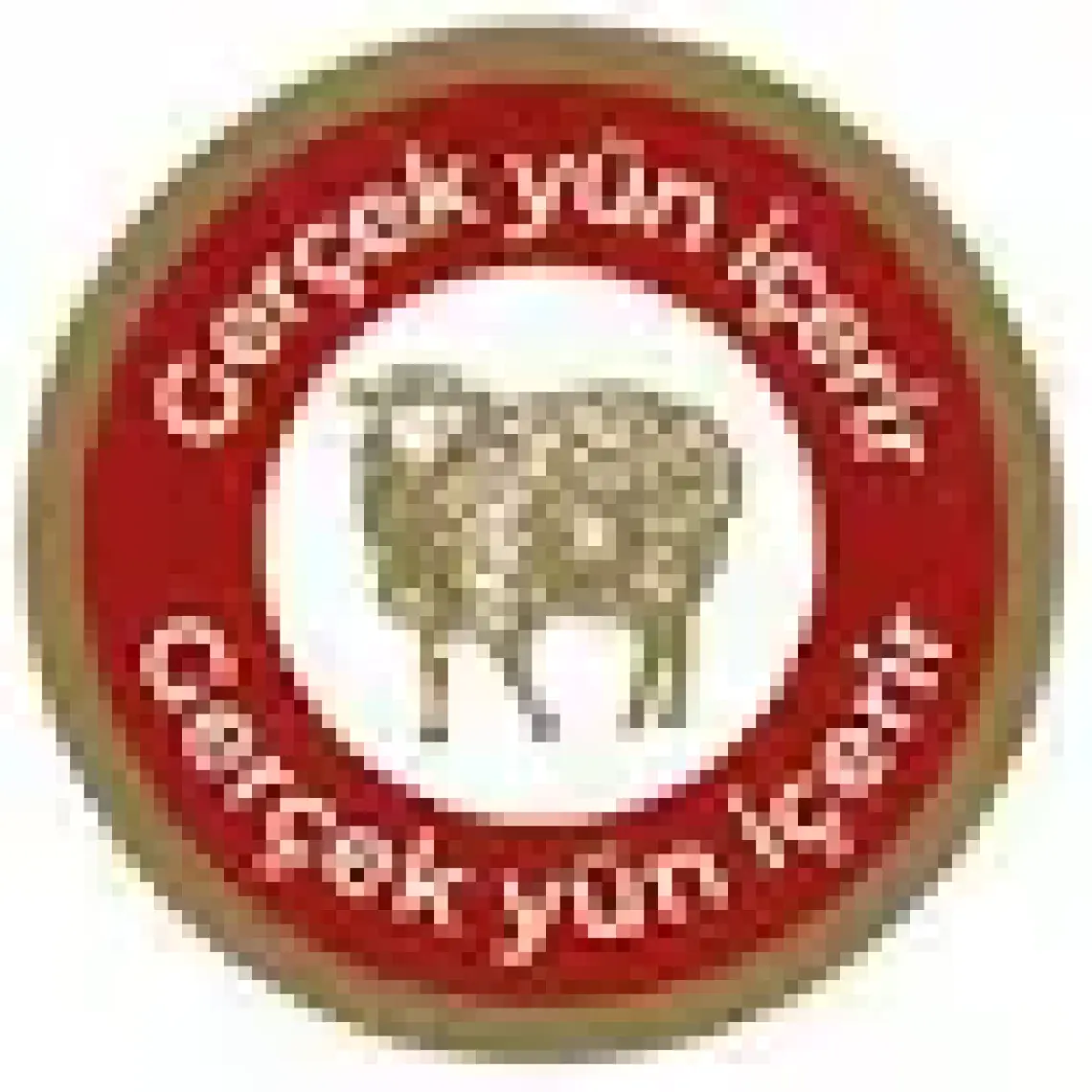 Variteks® V 804  Judo Dizlik