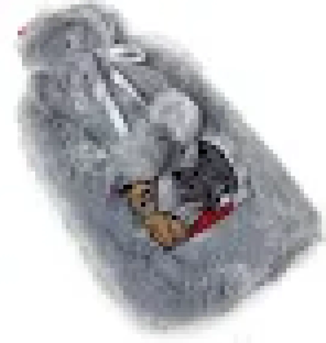 Biggdesign Dogs Gri Peluş Sıcak Su Torbası