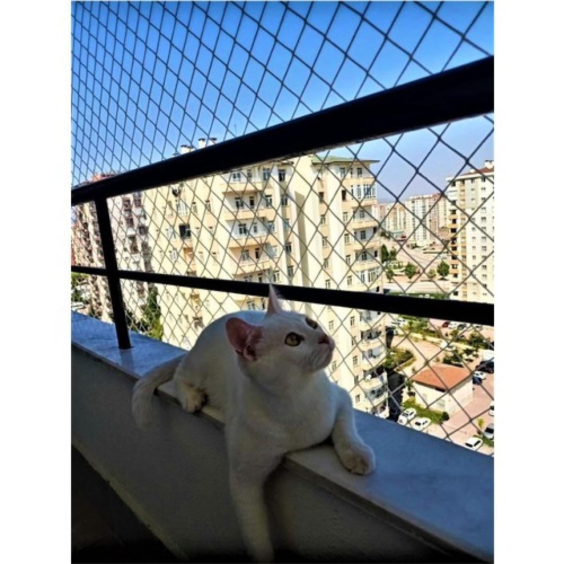 ÜN.K 3 x 11 Metre Kedi Koruma Filesi Balkon Filesi 2 mm Kedi Güvenlik Filesi Bebek Güvenlk Filesi