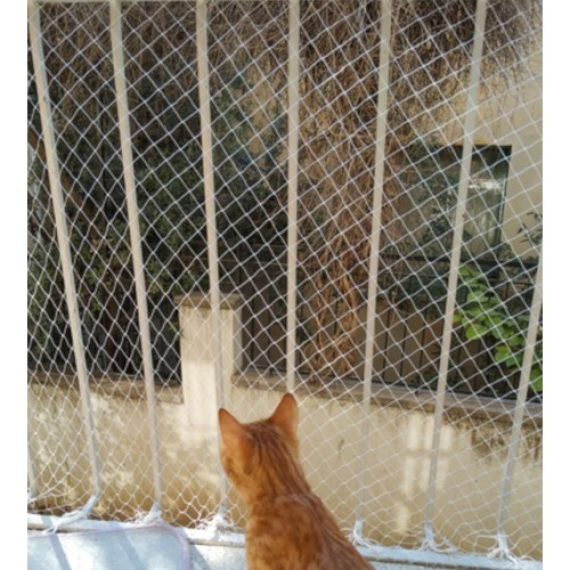 Artı Balkon Filesi 2,5x10 Metre Bahçe Balkon Filesi Kedi Kuş Önleme Güvenlik Filesi
