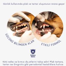 3'lüSet Kedi Ağız Kokusu Diş Plak Köpek Kulak Uyuzu Temizleme Göz Bakımı