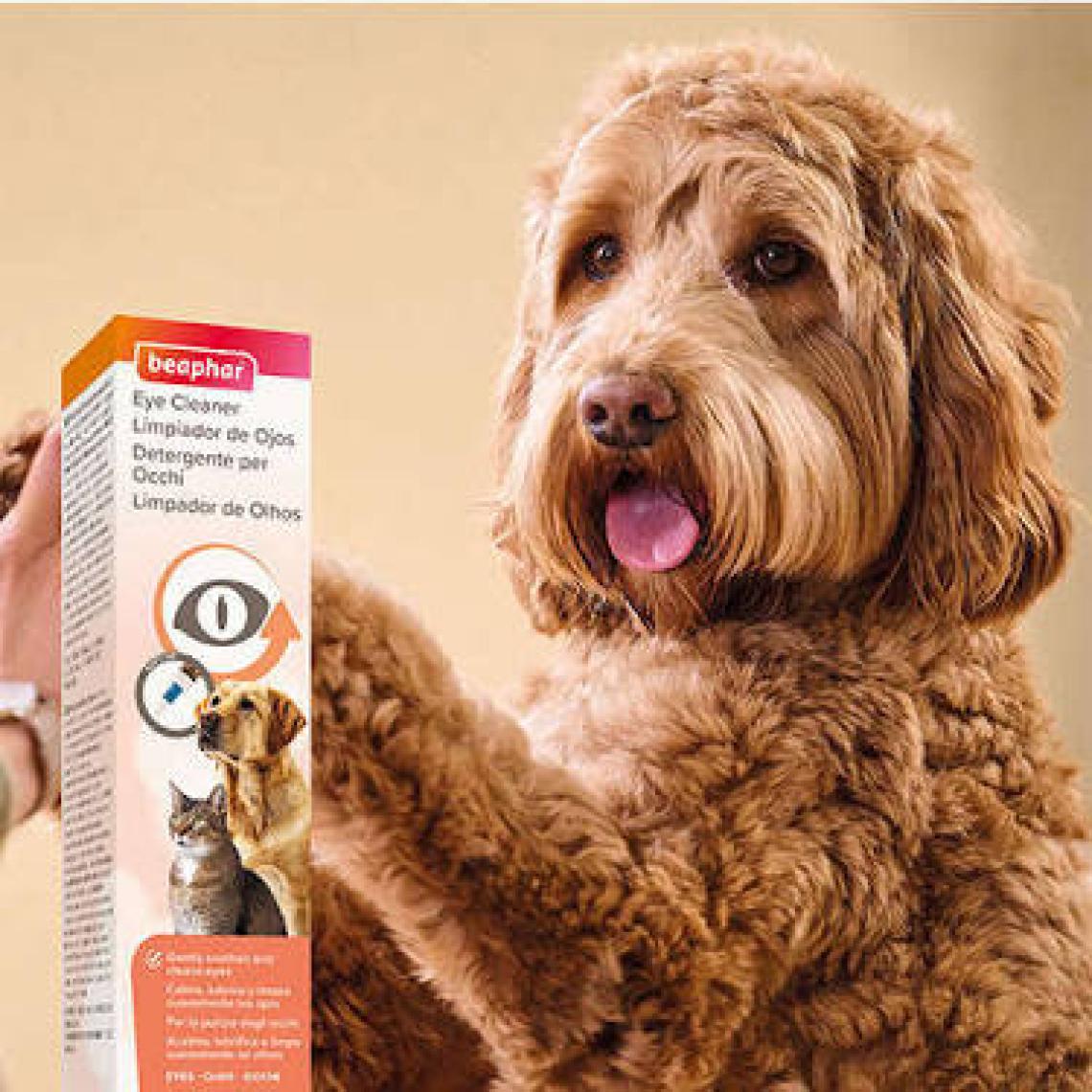 Beaphar Oftal Kedi Ve Köpek Göz Temizleme Losyonu 50 ML