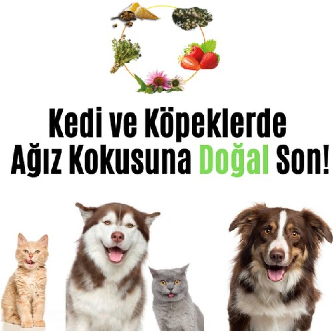 Vetugen %100 Doğal Aktif Bileşenli Kedi ve Köpek Diş Macunu