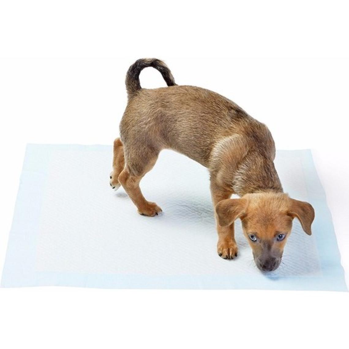 Rennway  Yıkanabilir Köpek Çiş Pedi - 100 x 100 cm