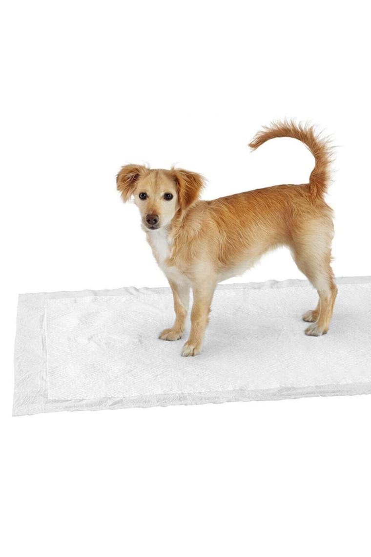Pet Style 30 Adet 60x90 cm Kedi Köpek Çiş Pedi