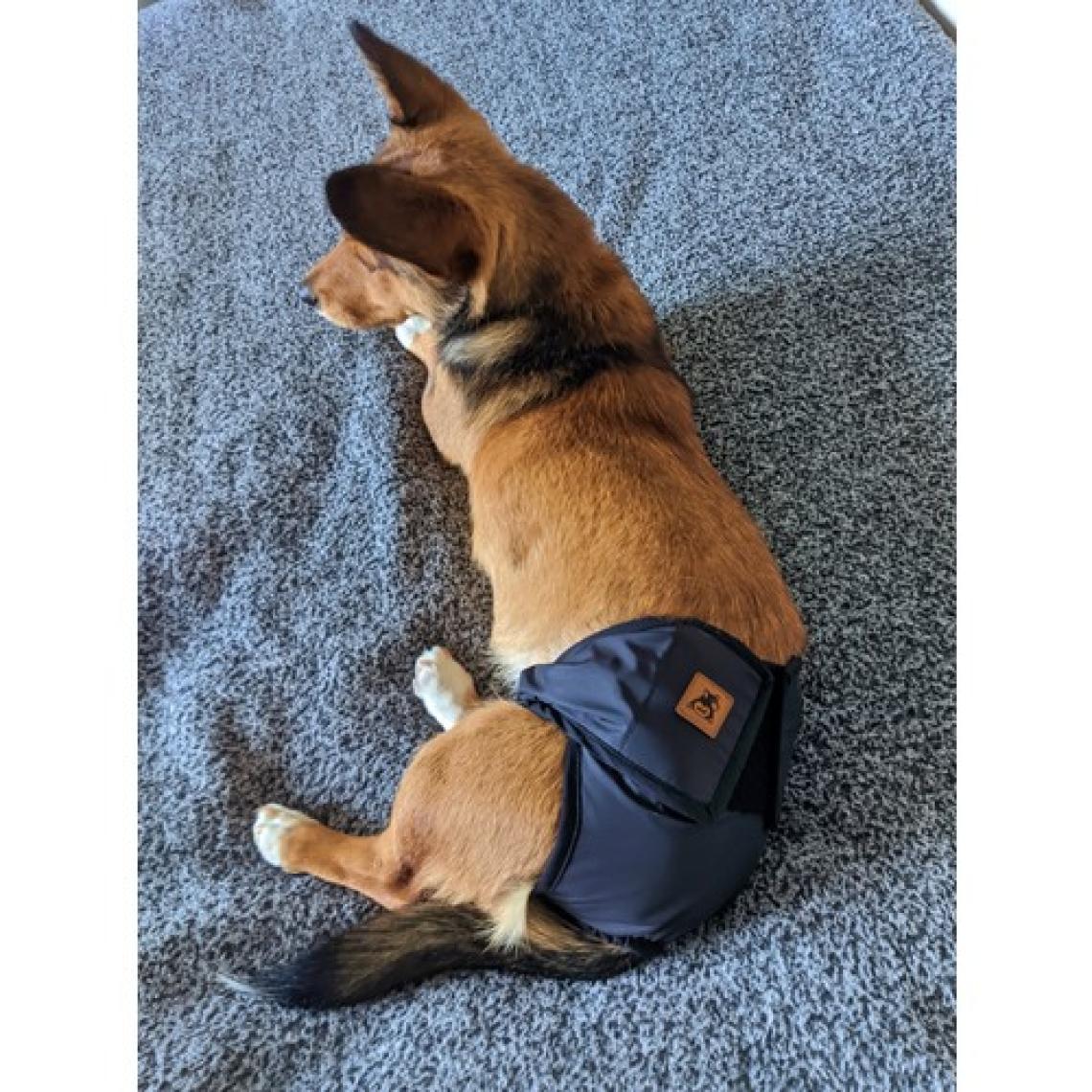 Utd Pet Dişi Köpek Regl ve Çiş Külodu Pedli Yıkanabilir