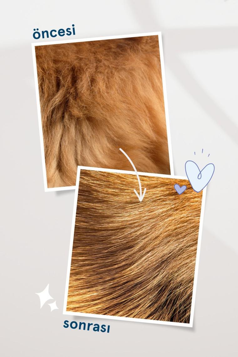 Kedi & Köpek Kuru Şampuan Sprey - Beyaz Sabun Kokusu - Hipoalerjenik - 150 Ml