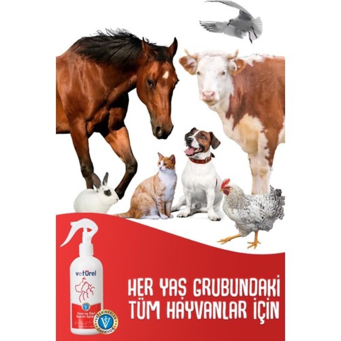Yara ve Deri Bakım Spreyi 2x300 ml Kedi Mantar Tahriş Köpek Bul Sprey