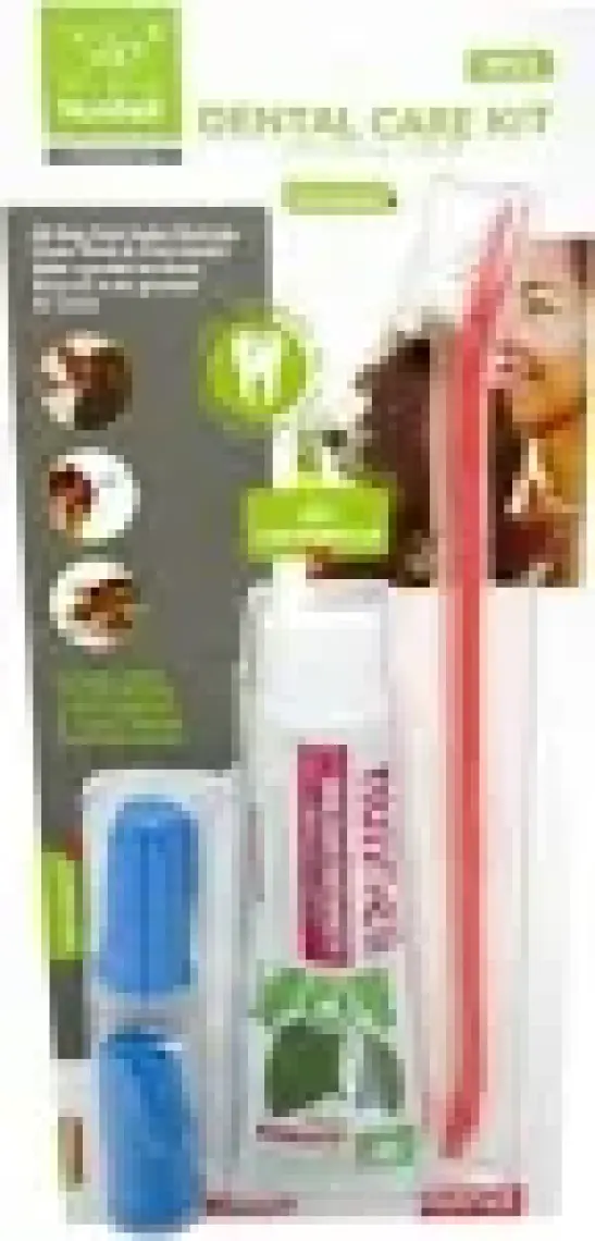 Nunbell Dental Care Kit Naneli Fırça Diş Macunu Seti