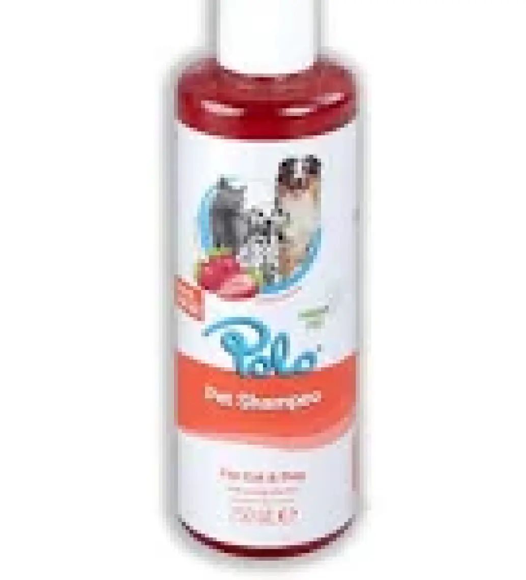 Polo. Çilek Kokulu Köpek Şampuanı 250 ml