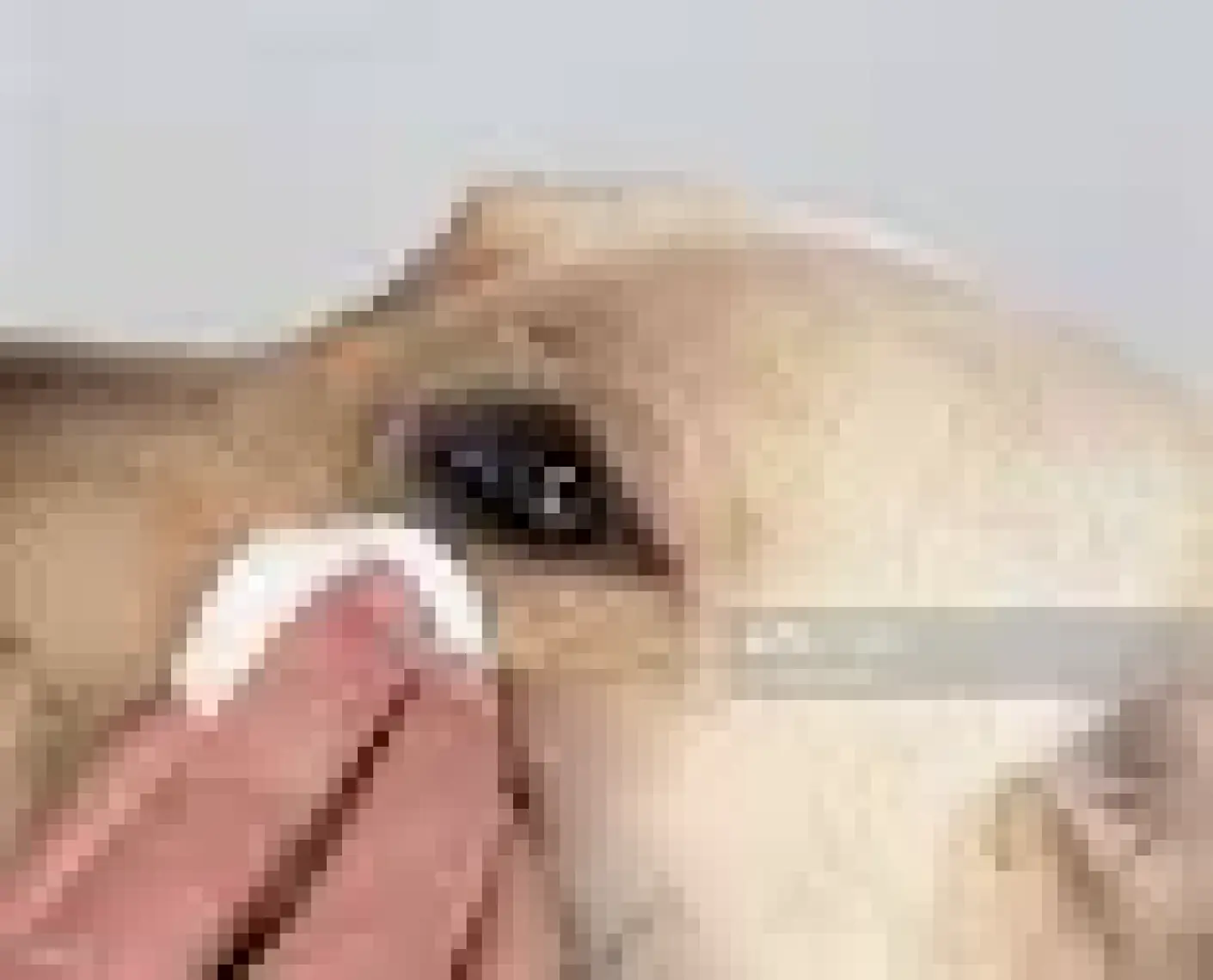 M-Pets Kedi/köpek Göz-Kulak-Burun Temizleme Mendili 80Lİ