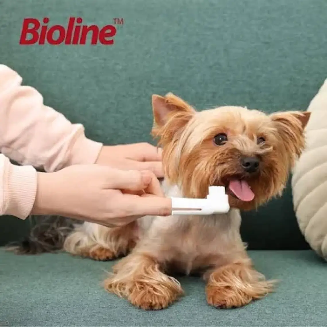Bioline Tavuk Aromalı Diş Macunu 100 gr