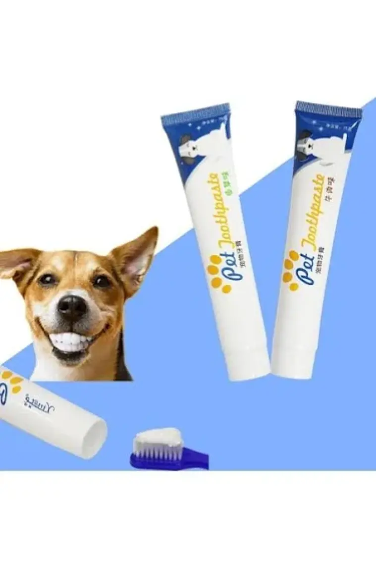 Bioline Yingte Köpek Diş Macunu ve Diş Fırçası Seti
