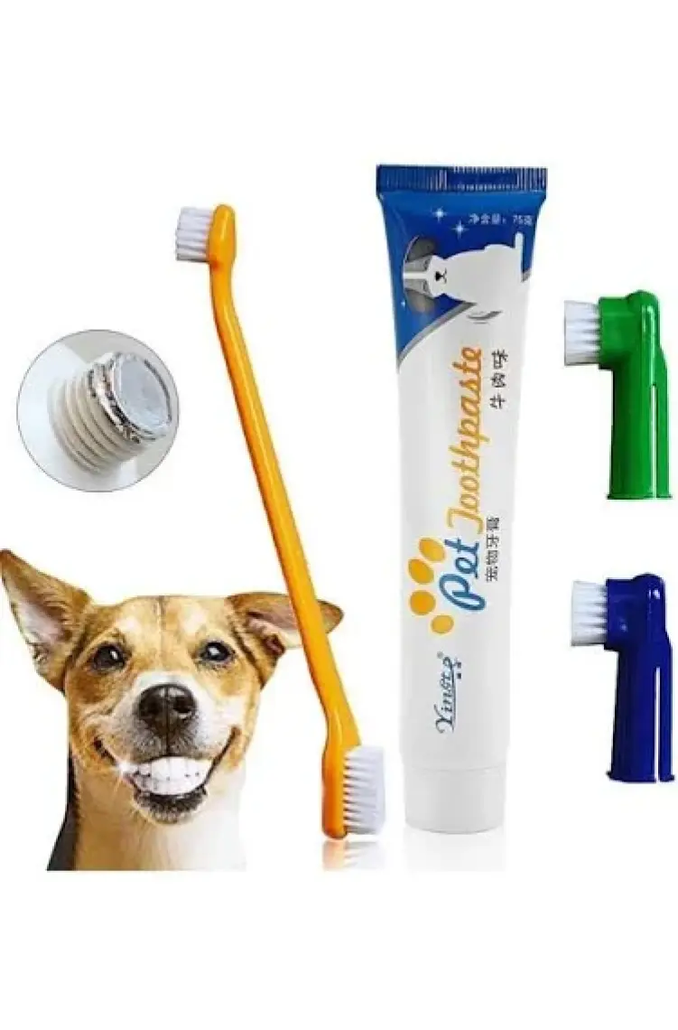 Bioline Yingte Köpek Diş Macunu ve Diş Fırçası Seti