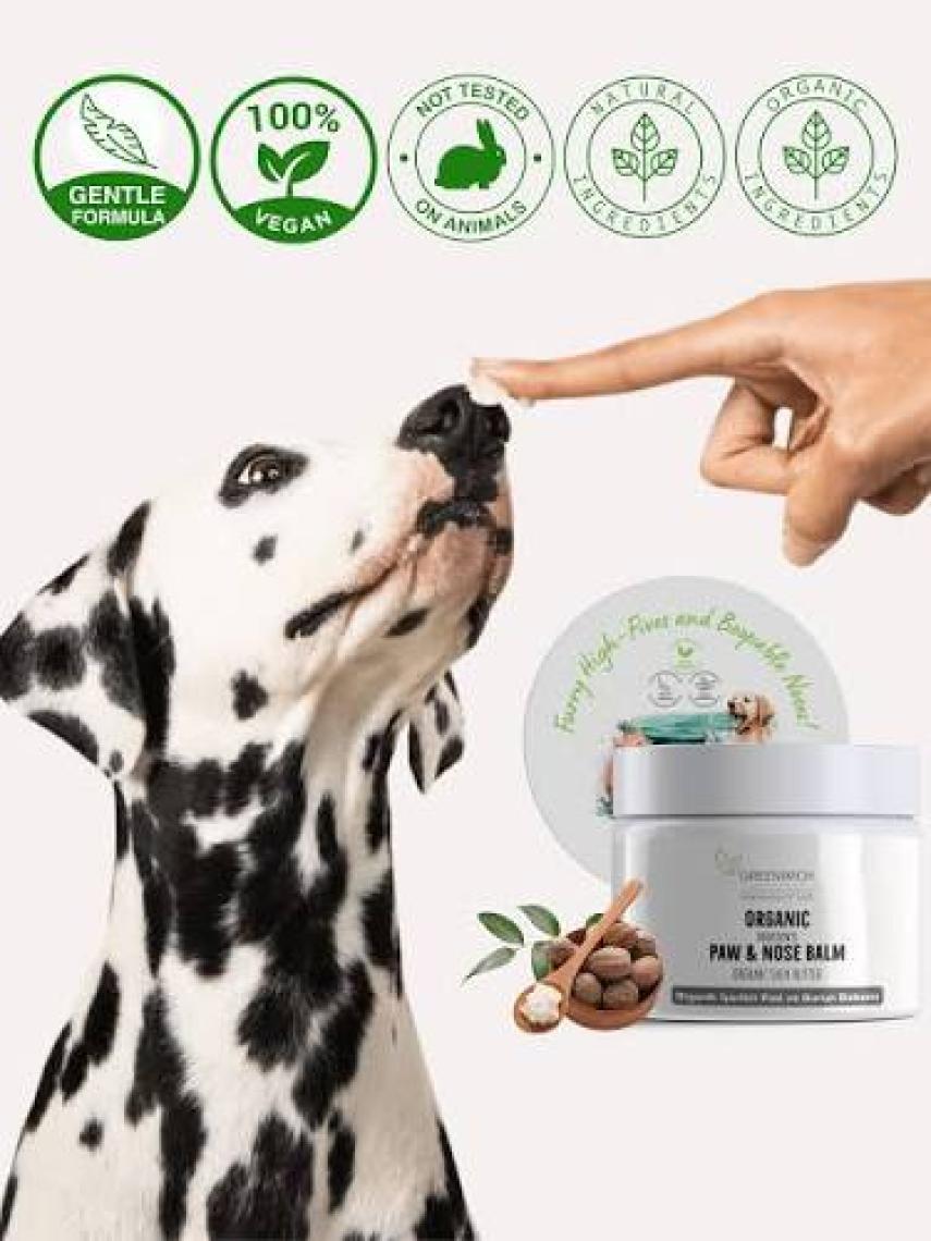 Greenwich Pati Burun Balm 50 ml | Nemlendirici Çatlak Onarım Kremi | Doğal Organik Içerik | Kedi Köpek