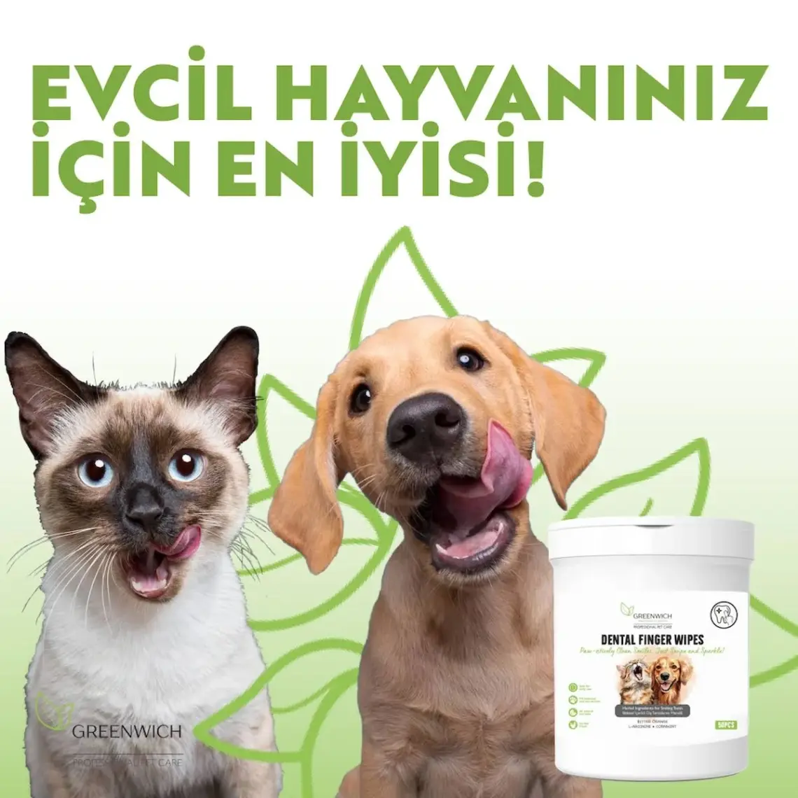 Greenwich Vegan Bitkisel İçerikli Kedi Köpek Diş Temizleme Islak Hijyenik Parmak Mendil 50 Adet