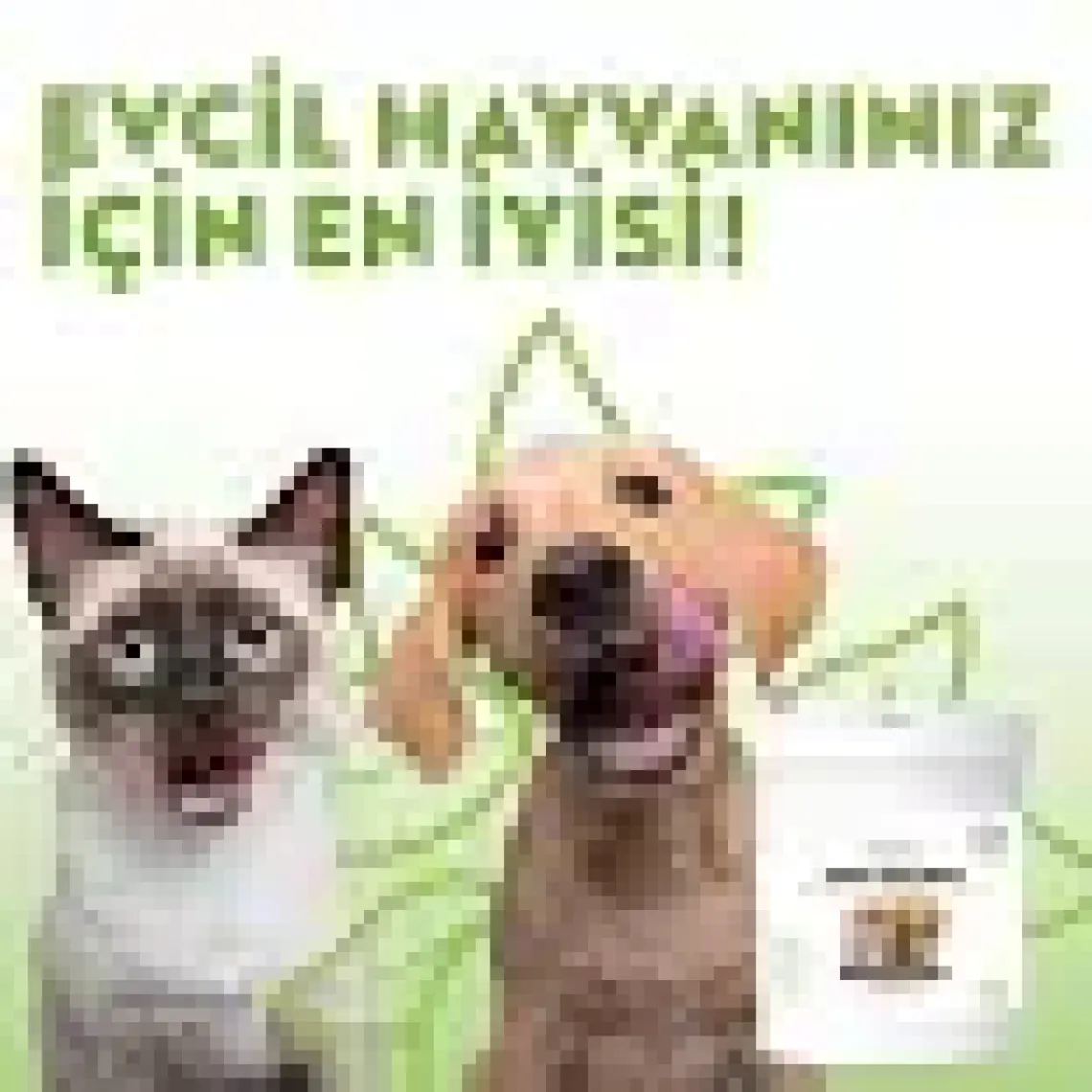 Greenwich Vegan Bitkisel İçerikli Kedi Köpek Diş Temizleme Islak Hijyenik Parmak Mendil 50 Adet