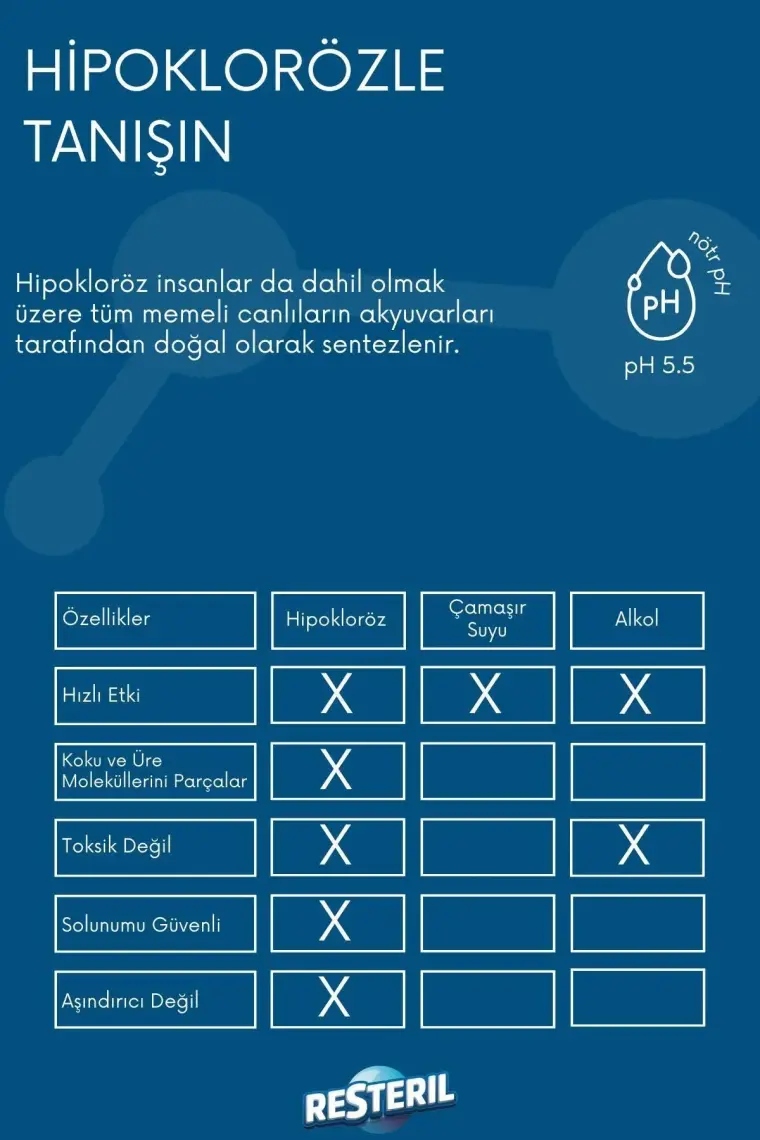 Resteril Klozet Temizleyici Klozet Kapağı Dezenfektan Sprey %99.99 Alkolsüz Sterilizasyon 500 ml