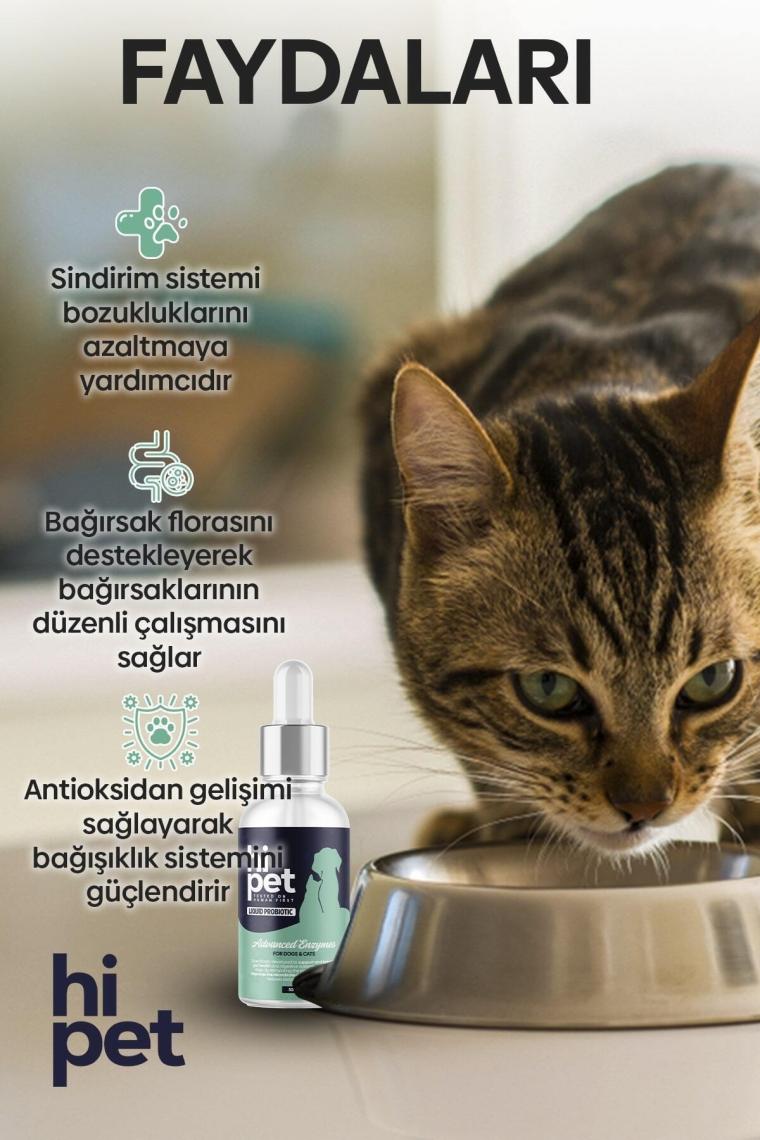 Sıvı Probiyotik Kedi Bağışıklık Güçlendirici Probiyotik 50 Ml.