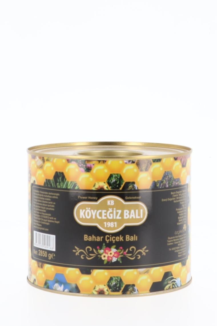 Bahar Çiçek Balı 2850 G Teneke