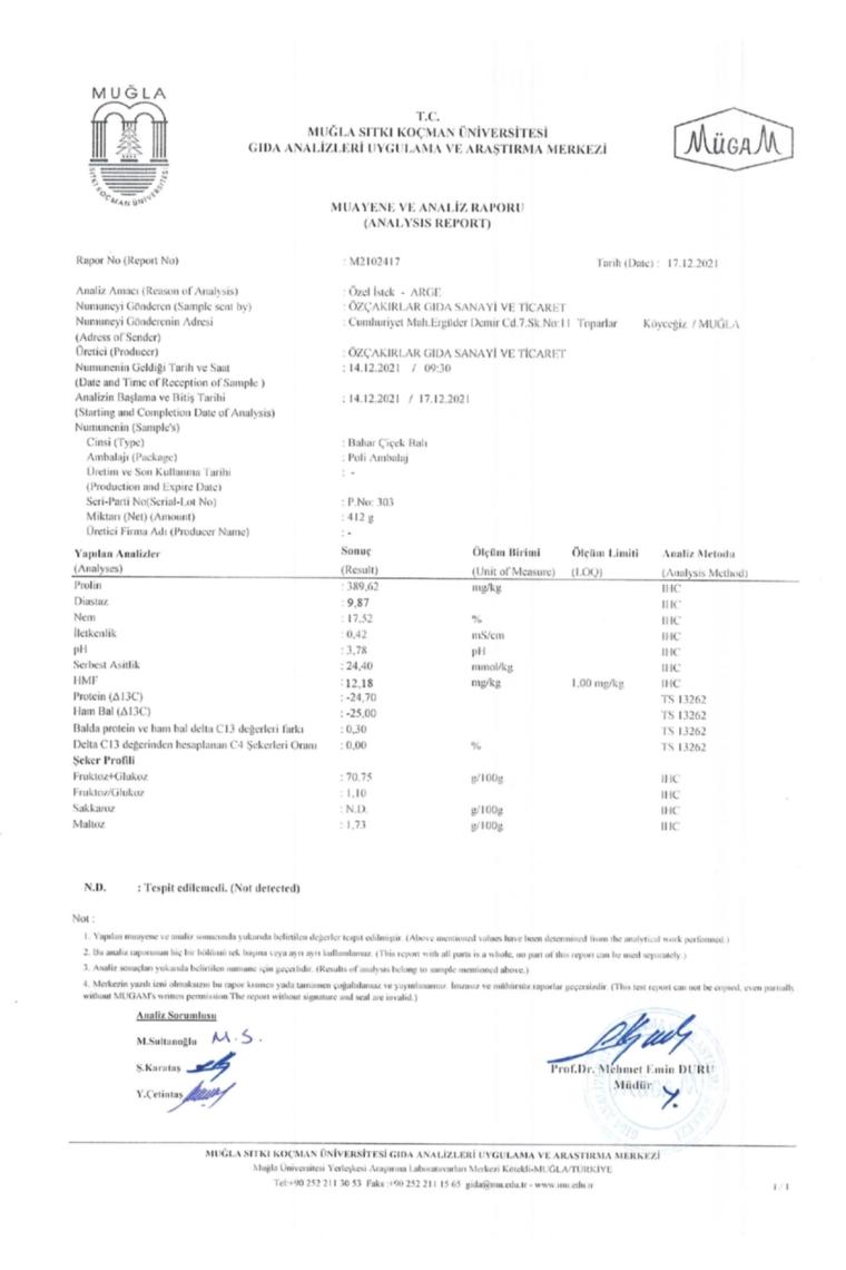 Bahar Çiçek Balı 2850 G Teneke