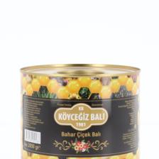 Bahar Çiçek Balı 2850 G Teneke