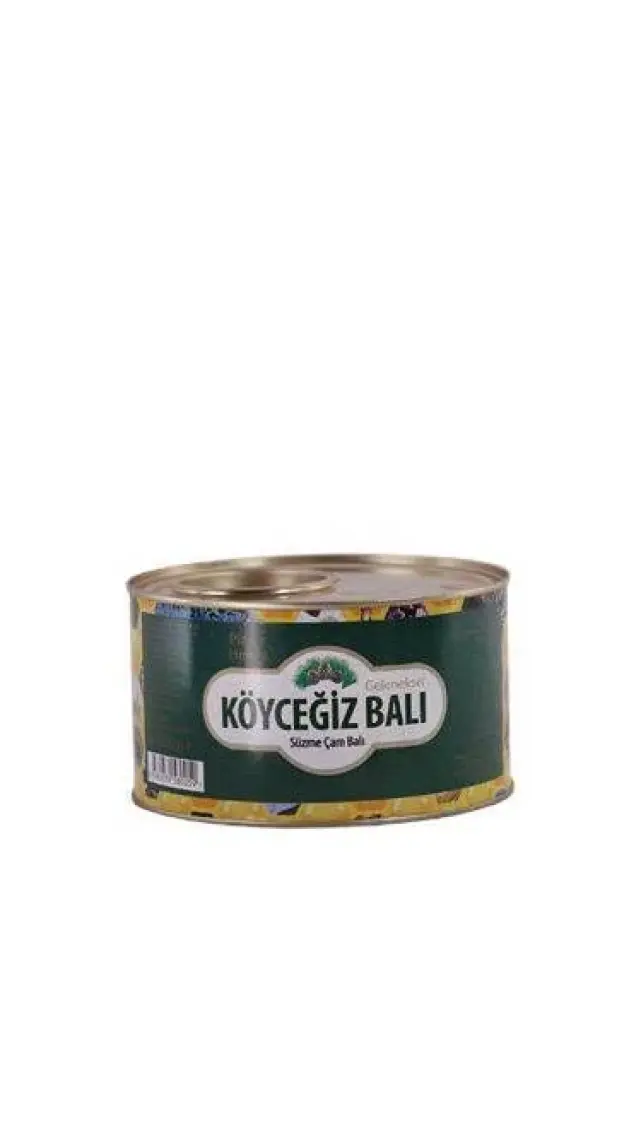 Köyceğiz Balı Çam Balı 1850 G Teneke