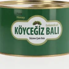 Köyceğiz Balı Çam Balı 1850 G Teneke