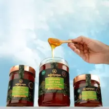 Eğriçayır Organik Çam Balı TA15+ 850g