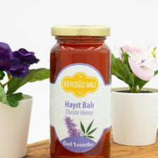 Köyceğiz 330 gr Hayıt Balı