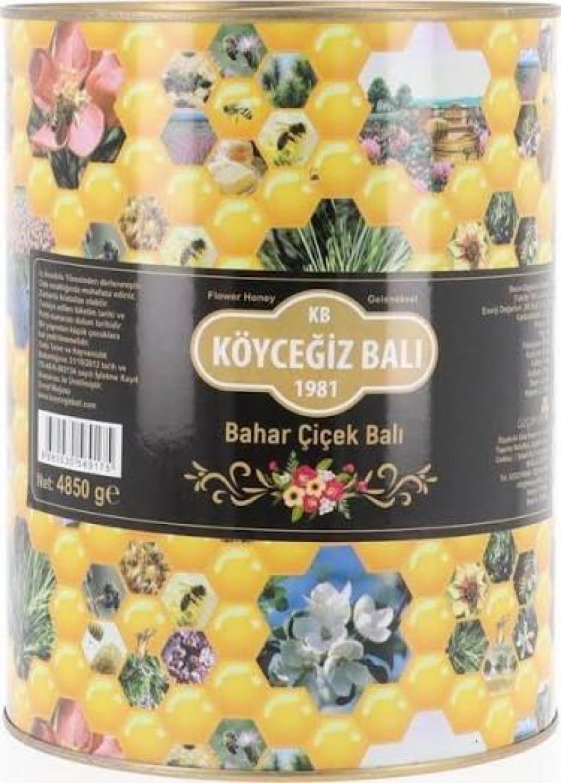 Köyceğiz Balı Bahar Balı 4850 G Teneke