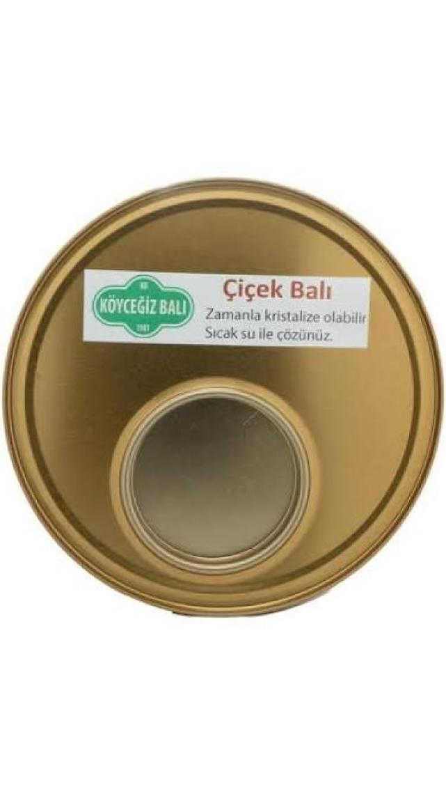 Köyceğiz Balı Bahar Balı 4850 G Teneke