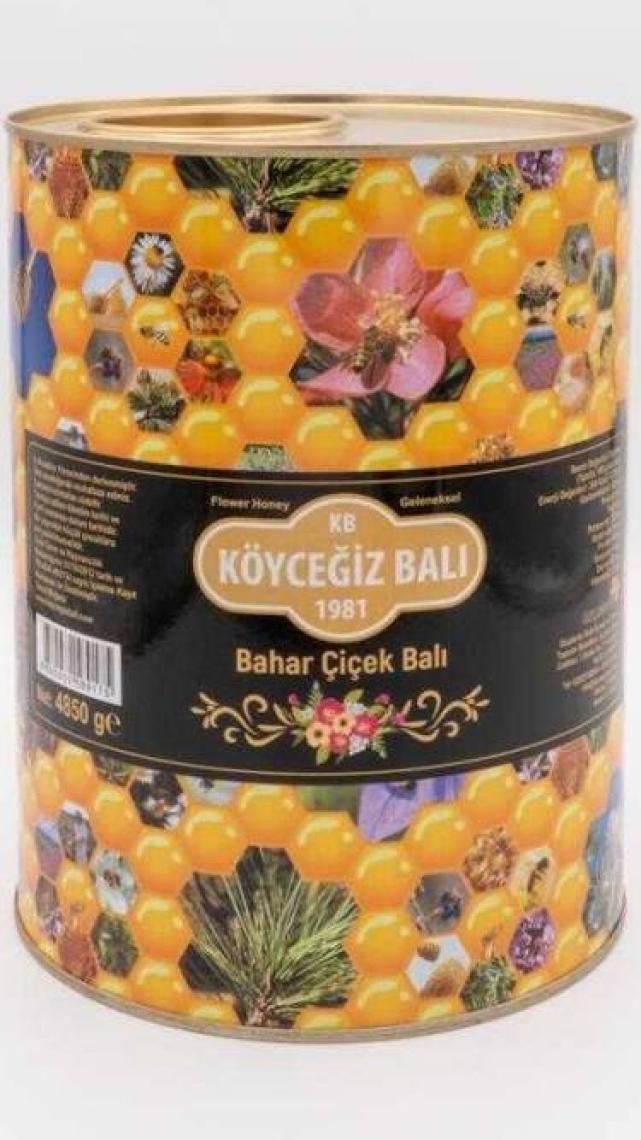 Köyceğiz Balı Bahar Balı 4850 G Teneke
