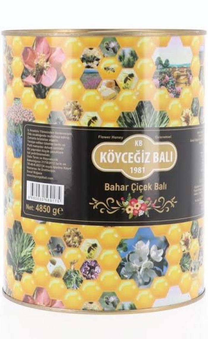 Köyceğiz Balı Bahar Balı 4850 G Teneke
