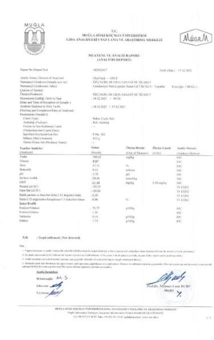 Köyceğiz Balı Bahar Balı 4850 G Teneke