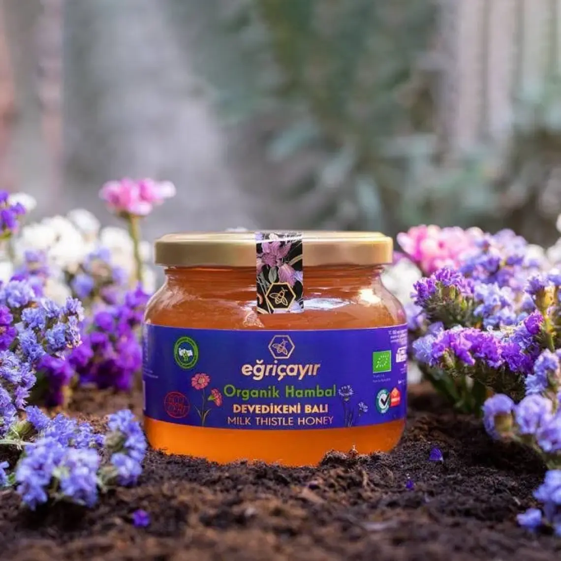 Eğriçayır Organik Devedikeni Balı 450g