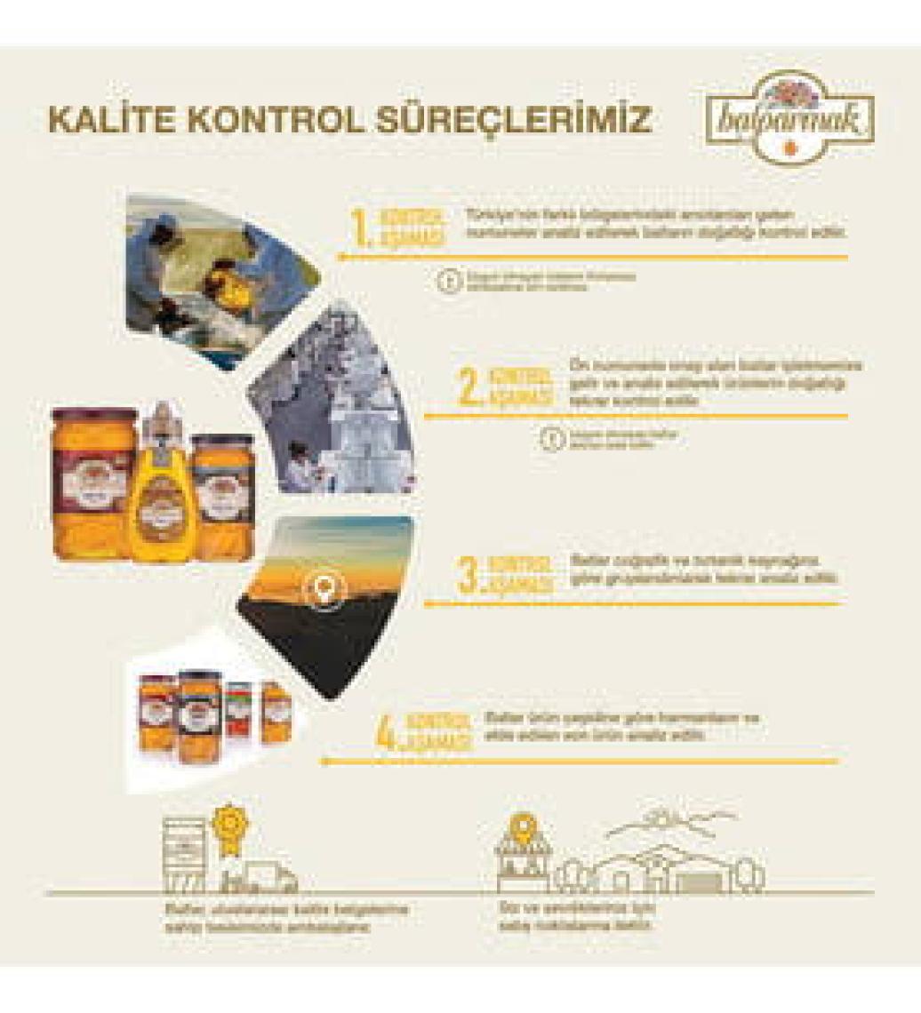 Balparmak Yayla ve Ova Çiçek Balı 2 Kg