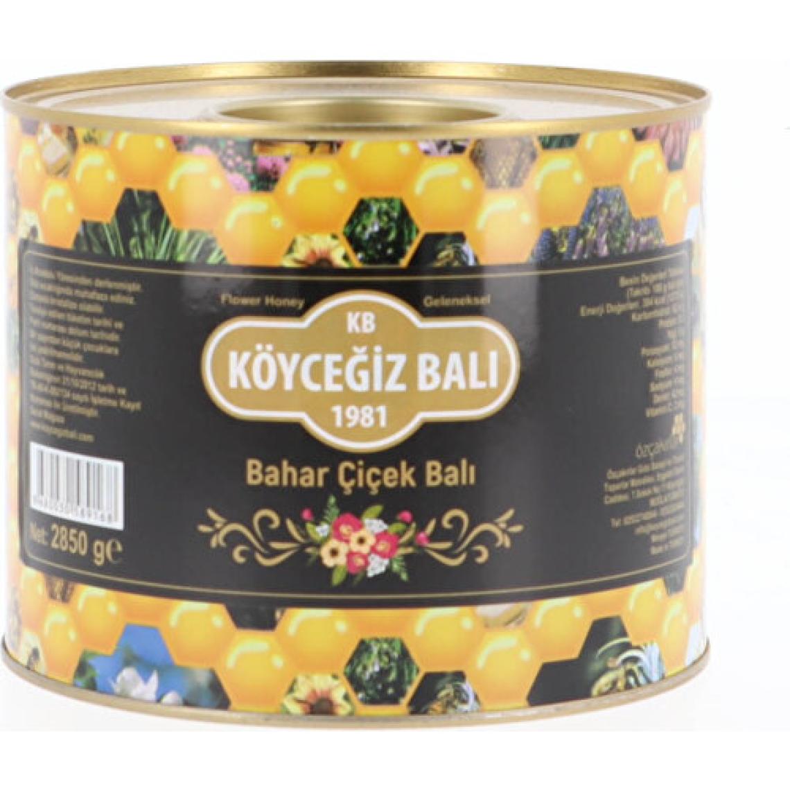 Köyceğiz 2850 gr Teneke Çiçek Balı